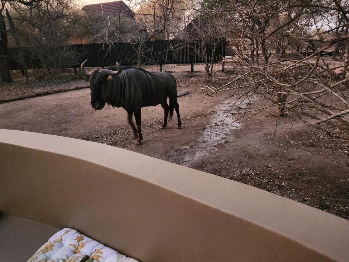 Apartmán Kudus Crest Bush Retreat Marloth Park Exteriér fotografie